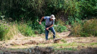 Briatico, il sindaco ordina ai privati la pulizia dei terreni abbandonati: previste multe fino a 500 euro
