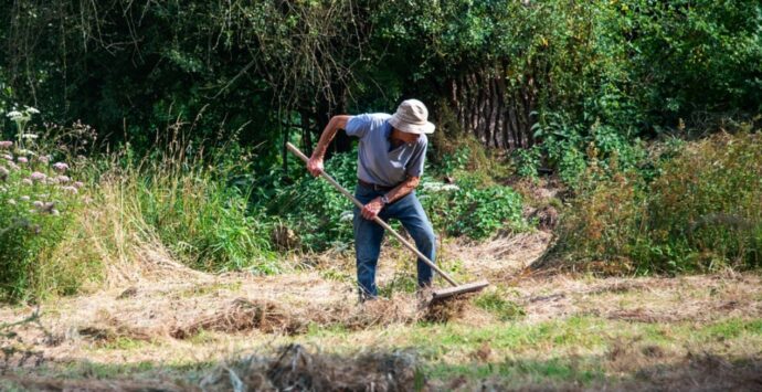 Briatico, il sindaco ordina ai privati la pulizia dei terreni abbandonati: previste multe fino a 500 euro