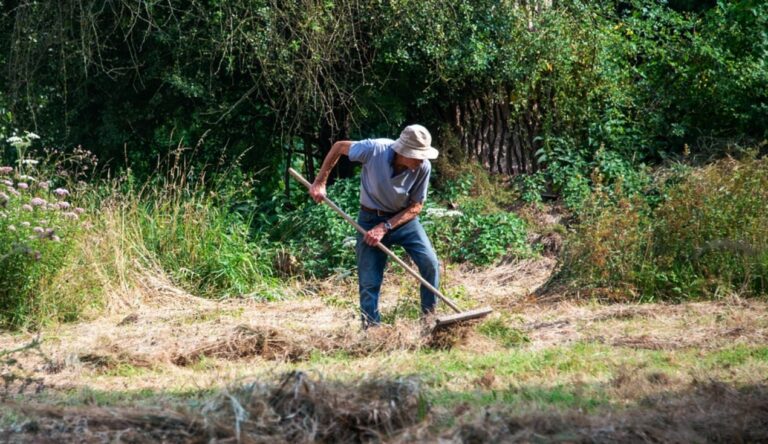 Briatico, il sindaco ordina ai privati la pulizia dei terreni abbandonati: previste multe fino a 500 euro