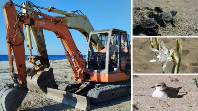 Ruspe schiaccia-tutto sulle spiagge, l’appello di Paolillo (Wwf Vibo): «Pulire così è un crimine contro la natura»