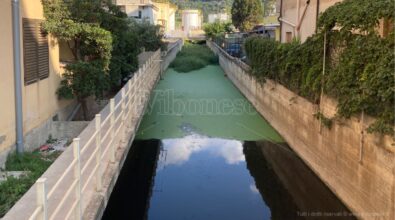 Vibo Marina, il fosso Antonucci è una palude di fogna: acqua nera e stagnante. La rabbia dei residenti: «Costretti a barricarci in casa» -Video