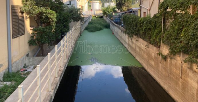 Vibo Marina, il fosso Antonucci è una palude di fogna: acqua nera e stagnante. La rabbia dei residenti: «Costretti a barricarci in casa» -Video