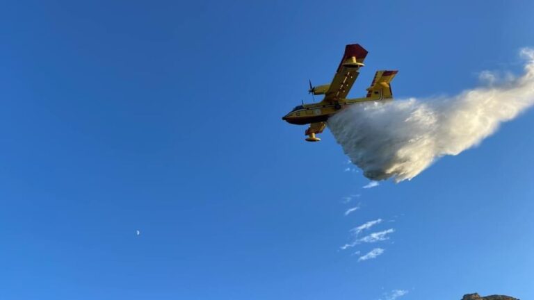 Incendi boschivi: il Comune di Arena pubblica l’elenco delle aree colpite a partire dal 2008 per aggiornare il catasto