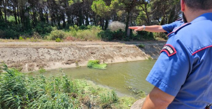 Toh, quanta acqua verde che viene da Lamezia: sequestrato un canalone industriale che scaricava a mare