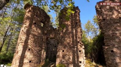 Nel cuore delle Serre alla scoperta del castello della baronessa Scoppa tra boschi, lupi e leggende popolari