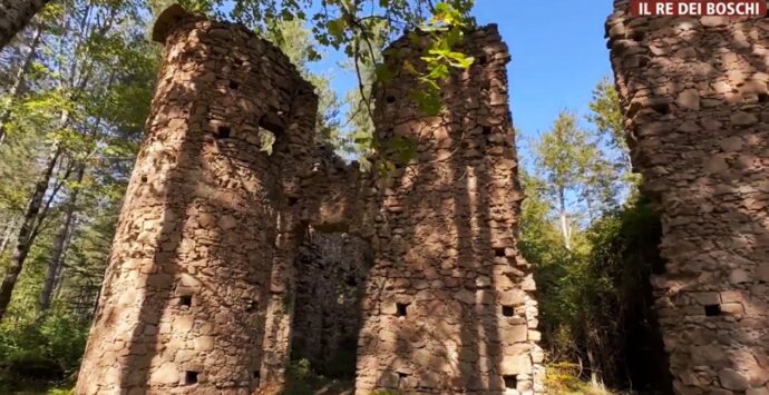 Nel cuore delle Serre alla scoperta del castello della baronessa Scoppa tra boschi, lupi e leggende popolari