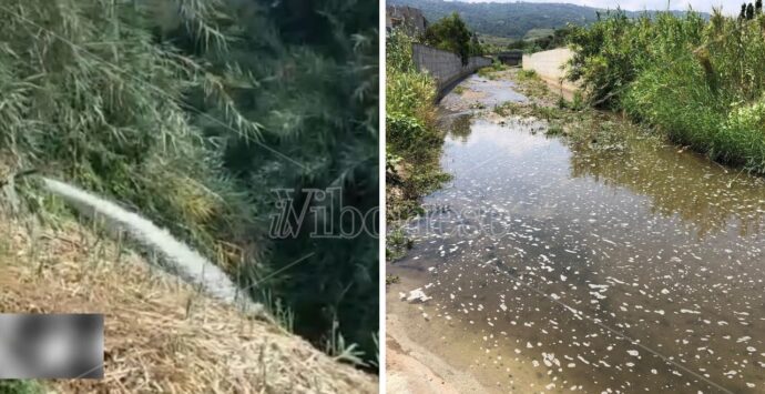 Ecco il depuratore Silica che scarica nel torrente Sant’Anna: il VIDEO che dimostra cosa arriva a mare