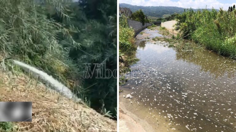 Ecco il depuratore Silica che scarica nel torrente Sant’Anna: il VIDEO che dimostra cosa arriva a mare