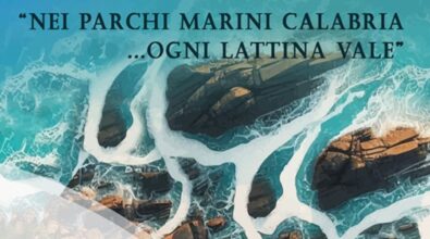 “Ogni lattina vale”… anche sulle spiagge del Vibonese. Ecco i Comuni aderenti