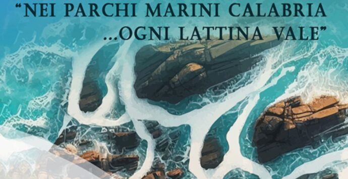 “Ogni lattina vale”… anche sulle spiagge del Vibonese. Ecco i Comuni aderenti