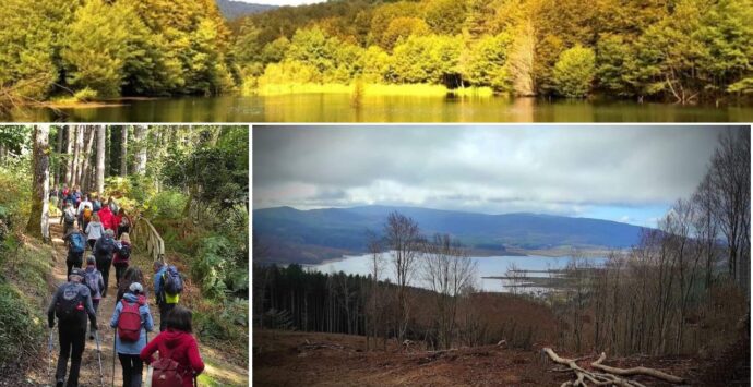 Natura, storia e trekking: nuovo percorso alla scoperta di Monte Pecoraro con “Vivi Serra San Bruno”