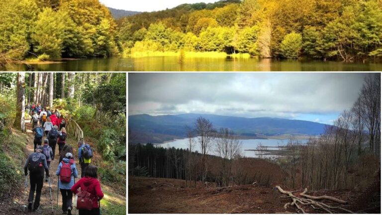 Natura, storia e trekking: nuovo percorso alla scoperta di Monte Pecoraro con “Vivi Serra San Bruno”