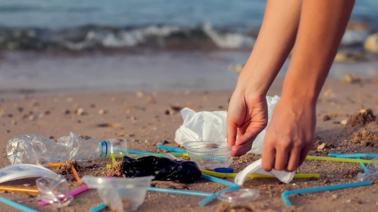 Pulizia delle spiagge libere a Parghelia, il Comune ha affidato il servizio