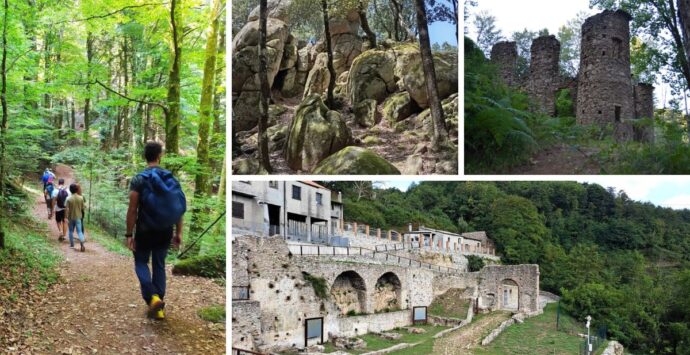 Non solo mare, la bellezza dei boschi serresi e dei borghi montani vibonesi: le mete imperdibili