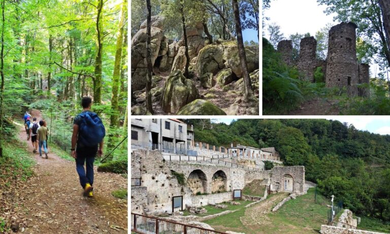 Non solo mare, la bellezza dei boschi serresi e dei borghi montani vibonesi: le mete imperdibili