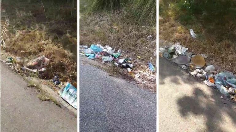 La vergogna dei rifiuti abbandonati lungo le strade vibonesi, Calzone (Wwf): «I Comuni possono costringere Anas e Provincia a intervenire» – Video