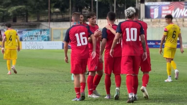 Vibonese, tutto pronto per l’inizio di stagione. Facciolo: «Convinceremo i tifosi a riempire lo stadio» – VIDEO