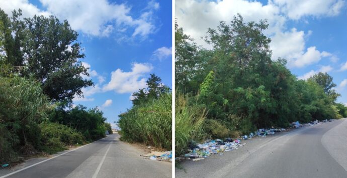 Bivona, l’ex consigliere comunale Termini: «Residenti di contrada San Pietro esasperati tra erbacce e discarica a cielo aperto»