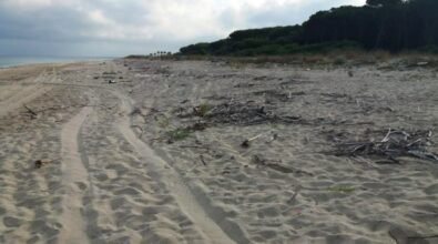 Rifiuti sulla spiaggia di Colamaio a Pizzo, la segnalazione: «Pulizia a metà, l’arenile e la pineta meritano decoro» -Foto