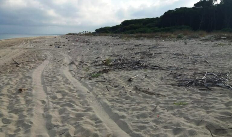 Rifiuti sulla spiaggia di Colamaio a Pizzo, la segnalazione: «Pulizia a metà, l’arenile e la pineta meritano decoro» -Foto