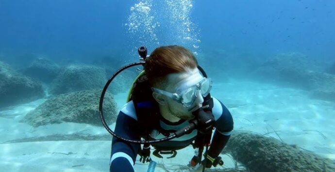 La magia sott’acqua di Capo Vaticano: alla scoperta di un tesoro naturale custodito sui fondali vibonesi