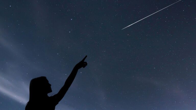 Pioggia di stelle cadenti sulle spiagge vibonesi per godersi la notte di San Lorenzo