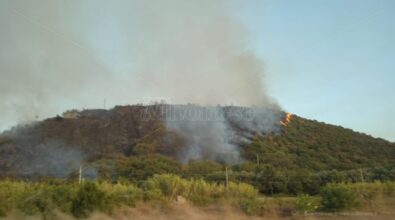 Incendio sulla collina che sovrasta Parghelia, in fiamme diversi ettari di macchia mediterranea e case evacuate