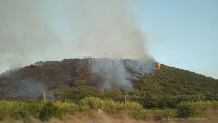 Incendio sulla collina che sovrasta Parghelia, in fiamme diversi ettari di macchia mediterranea e case evacuate