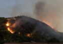 Comito (Fi) esalta l’azione di Occhiuto contro gli incendi boschivi: «Con l’operazione Tolleranza zero risultati straordinari»