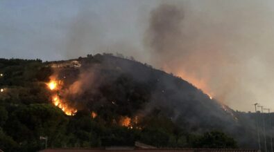 Vibonese nella morsa degli incendi: il vasto rogo di Parghelia domato solo stamattina, in fiamme uliveti a Monsoreto