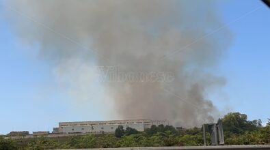 Vibo, incendio a ridosso della zona industriale: le fiamme minacciano un rifugio per cani – Foto