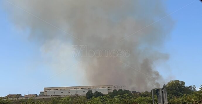 Vibo, incendio a ridosso della zona industriale: le fiamme minacciano un rifugio per cani – Foto