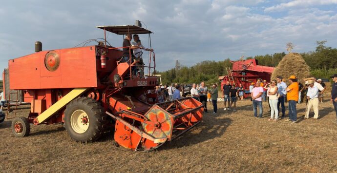 Maierato, la festa della trebbiatura è un inno alla cultura rurale del territorio: chiusa la VII edizione nel segno del grano antico Rosìa