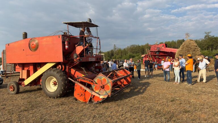 Maierato, la festa della trebbiatura è un inno alla cultura rurale del territorio: chiusa la VII edizione nel segno del grano antico Rosìa