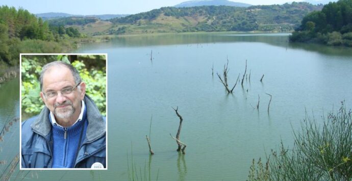 Per Legambiente il lago Angitola è inquinato ma Paolillo (Wwf) rassicura: «Nessun pericolo per la fauna presente»