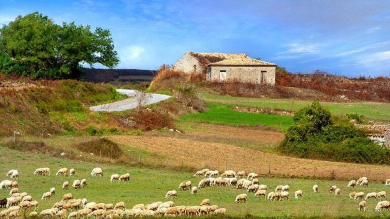 Zaccanopoli e l’evoluzione delle sue campagne nella mostra di Mazzeo e Scordamaglia