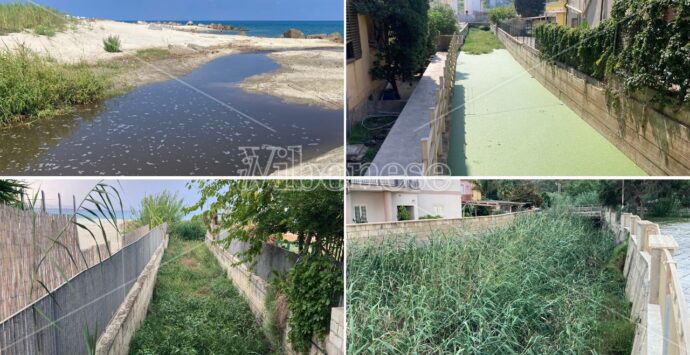 I torrenti del disastro ambientale di Bivona: Sant’Anna, Tomarchiello, Bravo e Antonucci dopo un’estate da dimenticare – VIDEO