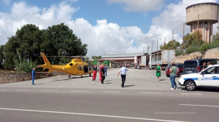 Incidente sul lavoro a Paravati, Fai-Cisl Magna Grecia: «Sicurezza fondamentale per imprenditori e dipendenti»