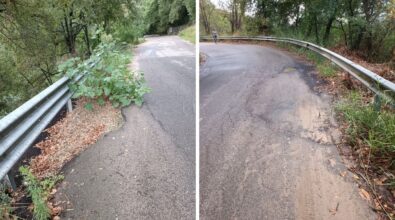 Strade da incubo: la provinciale Soriano-Vazzano tra buche, sterpaglie e lavori a intermittenza