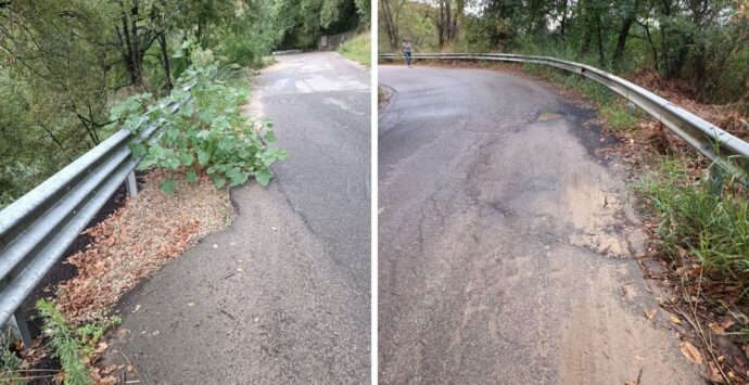 Strade da incubo: la provinciale Soriano-Vazzano tra buche, sterpaglie e lavori a intermittenza