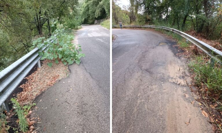 Strade da incubo: la provinciale Soriano-Vazzano tra buche, sterpaglie e lavori a intermittenza