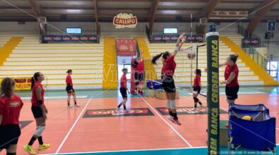 Tonno Callipo Volley, la carica di coach Boschini: «Le ragazze sono pronte, puntiamo a vincere il campionato e la Coppa Italia» – VIDEO