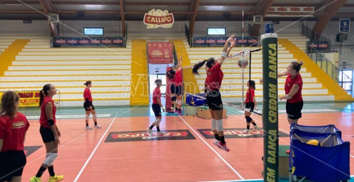 Tonno Callipo Volley, la carica di coach Boschini: «Le ragazze sono pronte, puntiamo a vincere il campionato e la Coppa Italia» – VIDEO