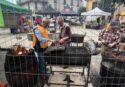 A Serra San Bruno fervono i preparativi per le Giornate della castagna e del vino