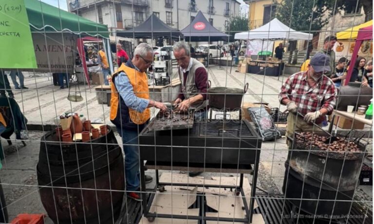 A Serra San Bruno fervono i preparativi per le Giornate della castagna e del vino