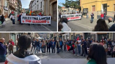 L’Anpi di Vibo in piazza per chiedere il cessate il fuoco in Palestina nella giornata di mobilitazione nazionale: «Non dobbiamo restare indifferenti»