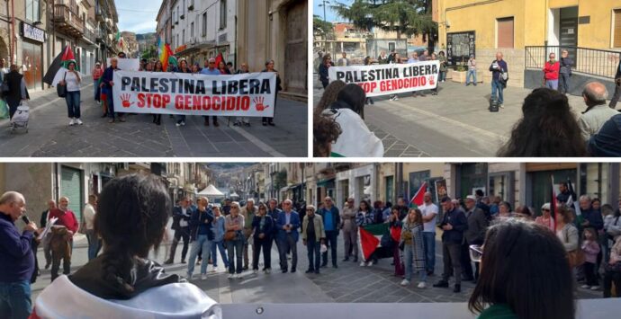 L’Anpi di Vibo in piazza per chiedere il cessate il fuoco in Palestina nella giornata di mobilitazione nazionale: «Non dobbiamo restare indifferenti»