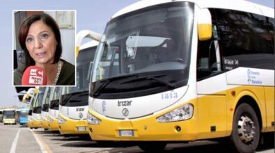 Trasporti, l’assessore Pilegi: «Abbiamo trovato i soldi per realizzare 8 nuove pensiline alle fermate bus di Vibo»