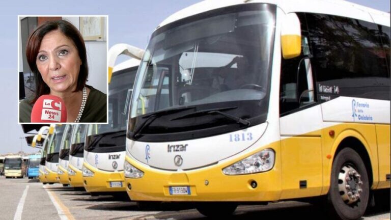 Trasporti, l’assessore Pilegi: «Abbiamo trovato i soldi per realizzare 8 nuove pensiline alle fermate bus di Vibo»