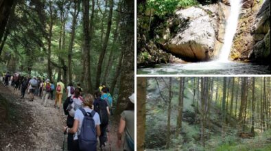 Da Serra San Bruno a Pietracupa vecchia, l’escursione alla scoperta del piccolo borgo fantasma